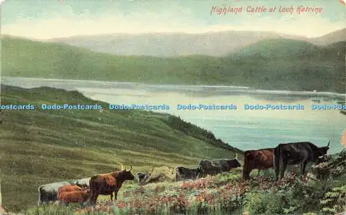 R584717 Highland Cattle at Loch Katrine F Hartmann Real Glossy Serie G 4231