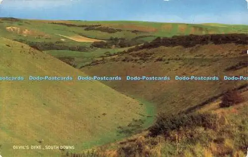 R577951 Devils Dyke South Downs Salmon