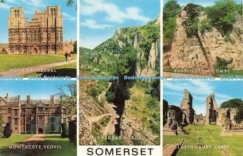 R578720 Somerset Cheddar Gorge Montacute Yeovil Glastonbury Abbey J Salmon Camer