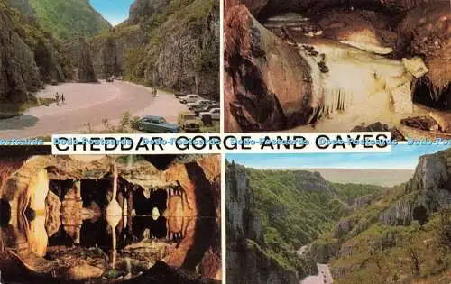 R578721 Cheddar Gorge and Caves J Salmon Cameracolour Multi View