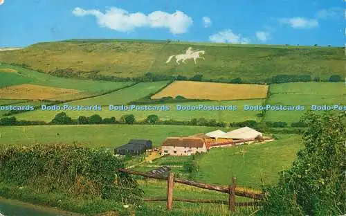 R580881 Osmington Near Weymouth The White Horse D Constance 1975