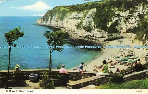 R578023 Devon Beer Cliff Walk E T W Dennis Photocolour 1973