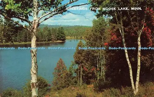 R578031 Minn Greetings from Moose Lake C R Brown Dexter Press Free Lance Photogr