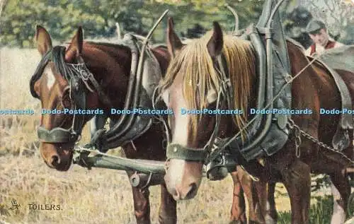 R584845 Toilers Our Farm Tuck Photochrome Series 4405 1905