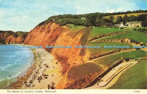 R578800 Sidmouth The Beach at Jacob Ladder E T W Dennis Photocolour 1981