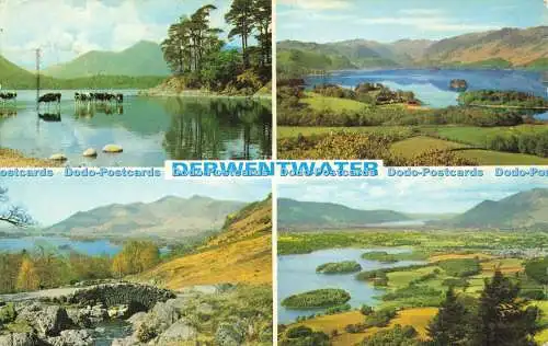 R580955 Derwentwater Friars Crag Ashness Bridge Blick von Castlehead H Webster M