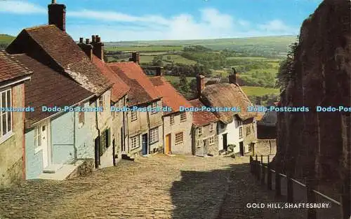 R581023 Shaftesbury Gold Hill J Salmon Cameracolour