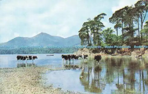 R578937 Derwentwater and Causey Pike Friars Crag English Lakes J Salmon Cameraco