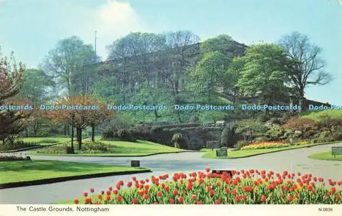 R581182 Nottingham The Castle Grounds E T W Dennis Photocolour