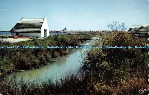 R579132 La Camargue Cabane de Gardian et les Saintes Marie de la Mer C A P Lumic