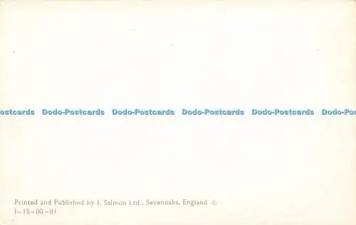 R581274 South Wales The Marches and the Wye Valley Karte J Salmon M F Peck