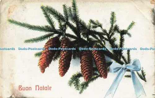 R583560 Buon Natale Fichtenzweig mit Zapfen L und P 1919