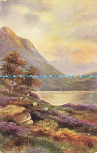 R585323 N Wales Dinas Lake B B Serie Nr A 2 1908