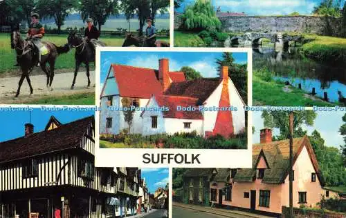 R579294 Suffolk Morning Training Newmarket Willie Lott Cottage Flatford Foto Pr