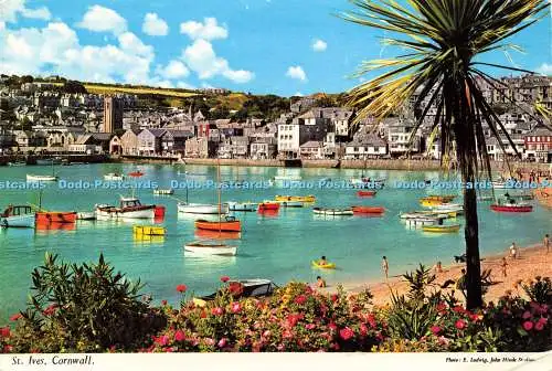 R579350 Cornwall St Ives John Hinde E Ludwig