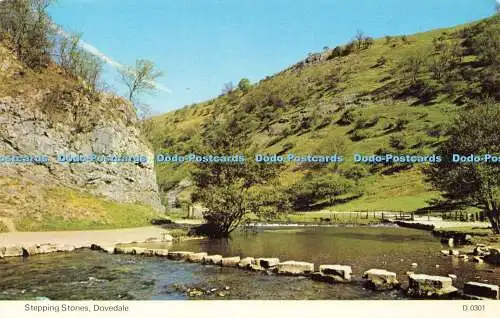 R581549 Dovedale Stepping Stones E T W Dennis Photocolour