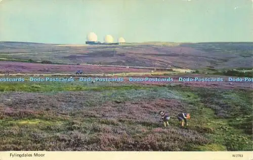 R581609 Fylingdales Moor E T W Dennis Photocolour