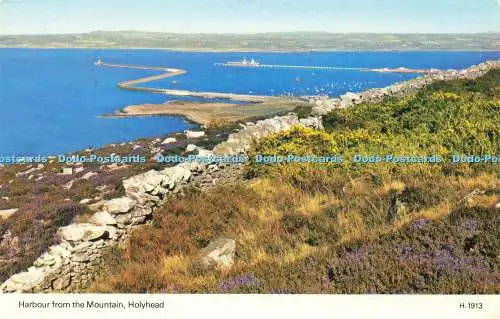 R579613 Holyhead Harbour from the Mountain E T W Dennis Photocolour 1985