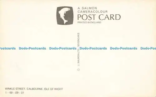 R581749 Isle of Wight Calbourne Winkle Street J Salmon Cameracolour