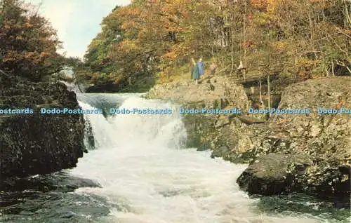 R579655 Langdale Skelwith Force H Webster