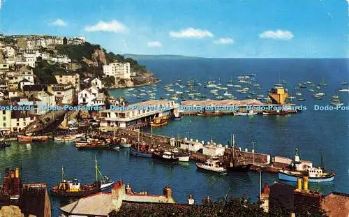 R579672 Brixham The Harbour D Constance 1972