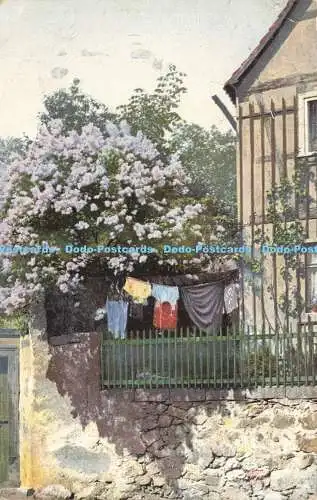 R585845 Altes Haus Blühender Baum Nenke und Ostermaier Photochromie