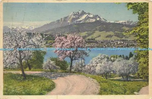 R584246 Pilatus Luzern am Vierwaldstattersee Postkarte und Sortenläden Gyger