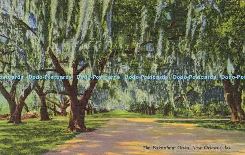 R584257 La New Orleans The Pakenham Oaks Post Card Specialties C T Art Colortone