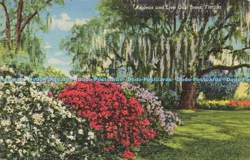 R584298 Florida Azaleen and Live Oak Trees C T Art Colortone Tropical Florida Se