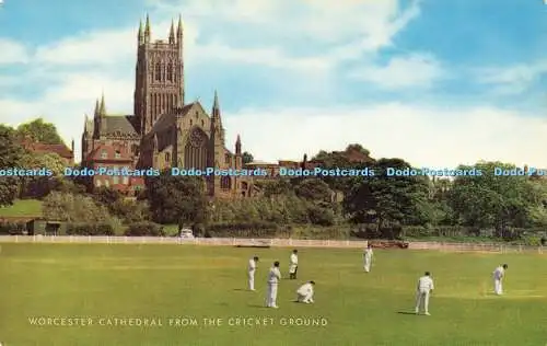 R582194 Worcester Cathedral vom Cricket Ground J Salmon Cameracolour