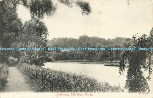 R584456 Richmond Hill from River St and Co D 1905