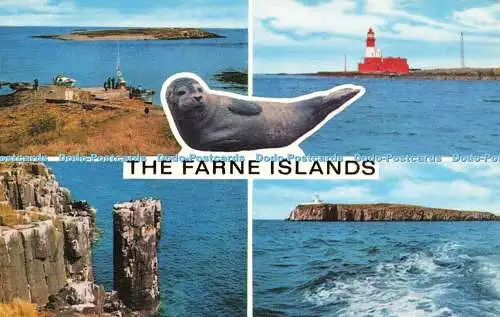 R580170 The Farne Islands J Salmon Cameracolour Multi View 1979