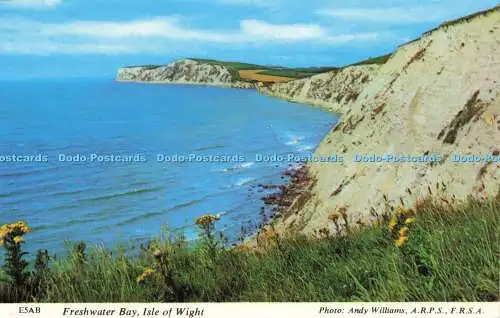 R582339 Isle of Wight Süßwasser Bay Collis-Händler die Garden Isle-Serie