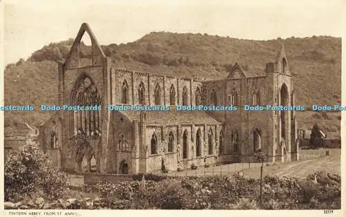 R586517 Tintern Abbey from St Ann