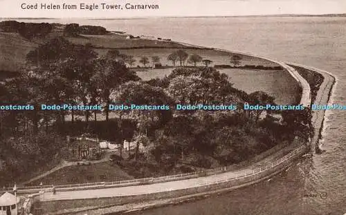R586590 Carnarvon Coed Helen aus Eagle Tower Valentines Serie