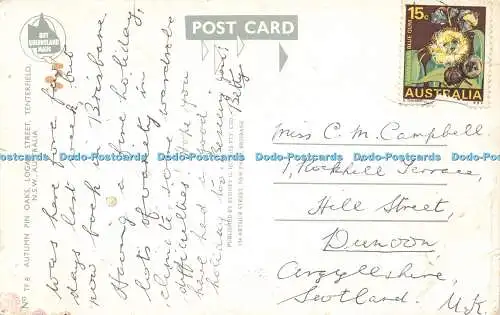 R586628 Australia N S W Tenterfield Logan Street Autumn Pin Oaks Sydney G Hughes