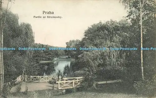 R586707 Praha Partie ze Stromovky F Zuna