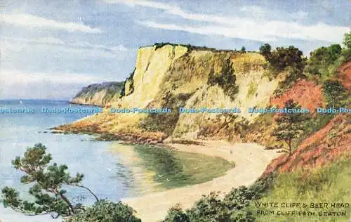 R586914 Seaton White Cliff and Beer Head from Cliff Path J Salmon Water Colour 1