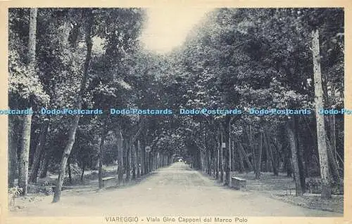 R586941 Viareggio Viale Gino Capponi dal Marco Polo O Pieraccini G Magrini