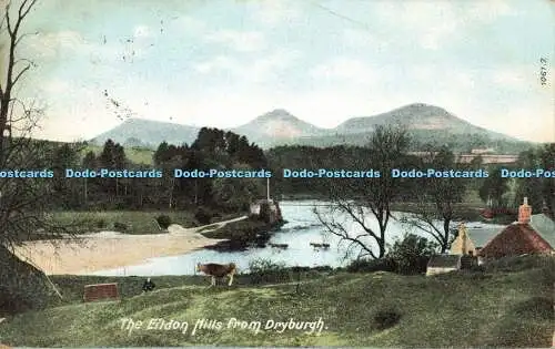 R587011 Eildon Hills aus Dryburgh 1061 7 Hartmann 1910