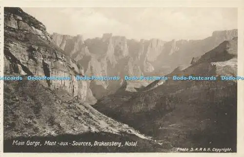 R587271 Hauptschlucht Mont aux Sources Drakensberg Natal S A R and H Newman Art Pub