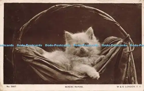 R587539 Nr 3957 Serene Repose W und K London Cat RP 1918