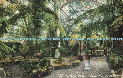 R587553 Tower Roof Gardens Blackpool E R G Victoria Serie 1906