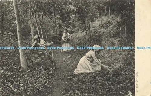 R587563 In the Woods Tuck Country Life Serie 874 1911