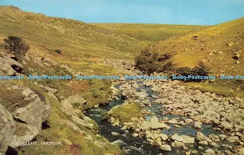 R588294 Tavy Cleave Dartmoor Salmon