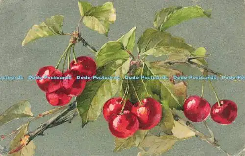 R592321 Cherries Tuck Art Series 6860 1905