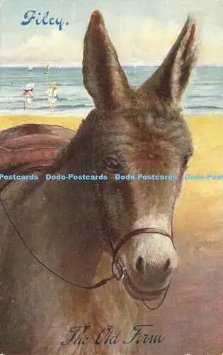 R590497 Filey Donkey Photochrom Celesque Serie