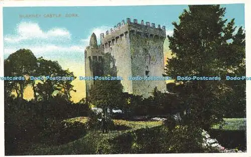 R588624 Blarney Castle Cork D und D