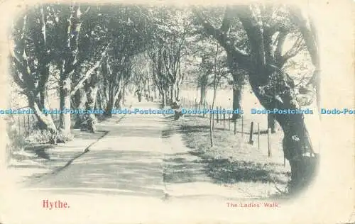 R592435 Hythe Ladies Walk 1905