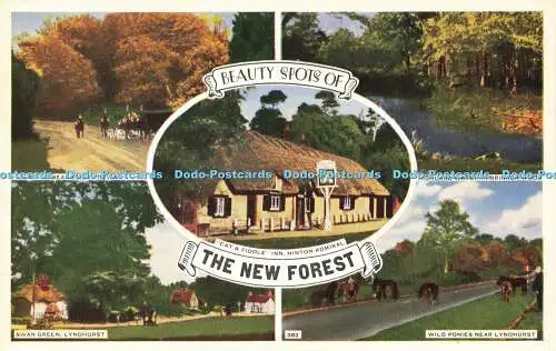 R592465 Beauty Spots of New Forest 382 Multi View